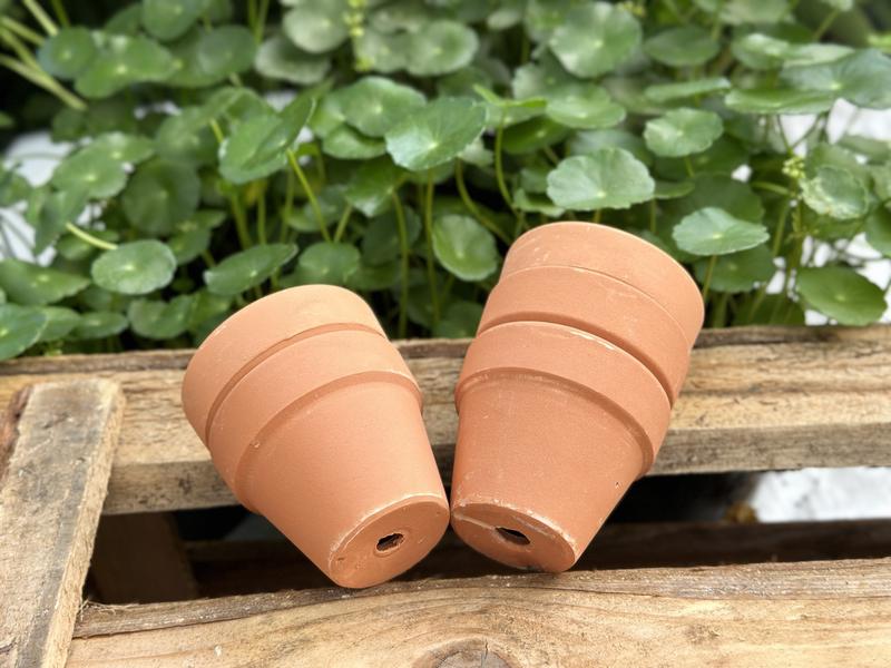 MAY Chậu Đất Nung Hàng Lỗi - Hàng Thanh Lý Giá Rẻ- Trồng Xương Rồng Sen Đá..