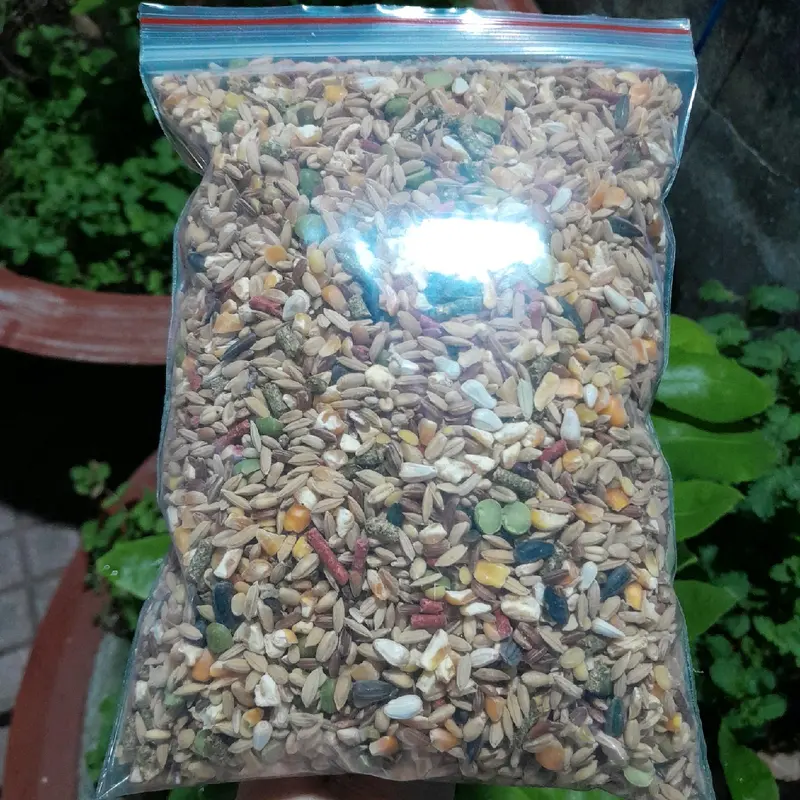 Ngũ cốc dinh dưỡng 1kg dành cho chim cu gáy, bồ câu, gà đá,... 0
