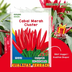 Bibit Unggul Cabai Merah Cluster Tanaman Sayuran Berkualitas Isi 500 Benih