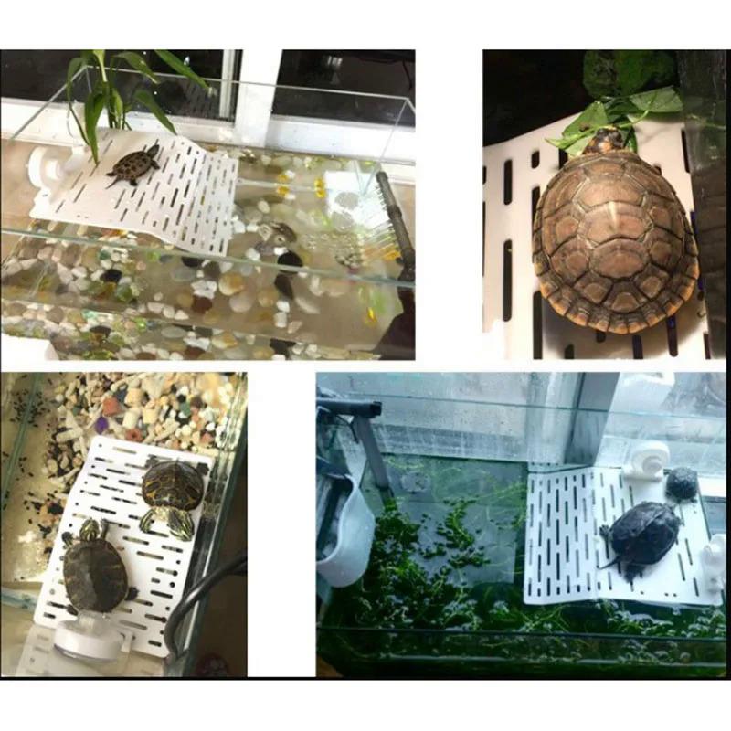 Product Introduction of Balloon stand, large size, white, background decoration, suitable for Bock, crawler, Sun awning, climbing, turtle, fish tank float decoration, feeding 14