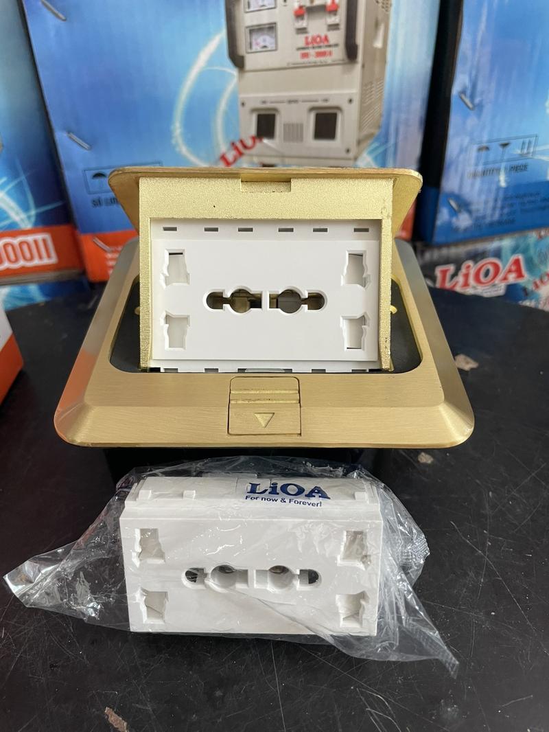Product Introduction of Mặt ổ cắm âm sàn LIOA (LP001) 7