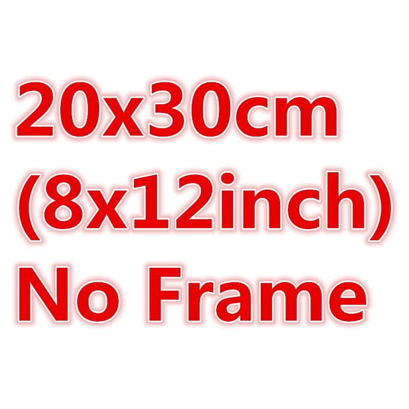 DZ-20x30cm No Frame