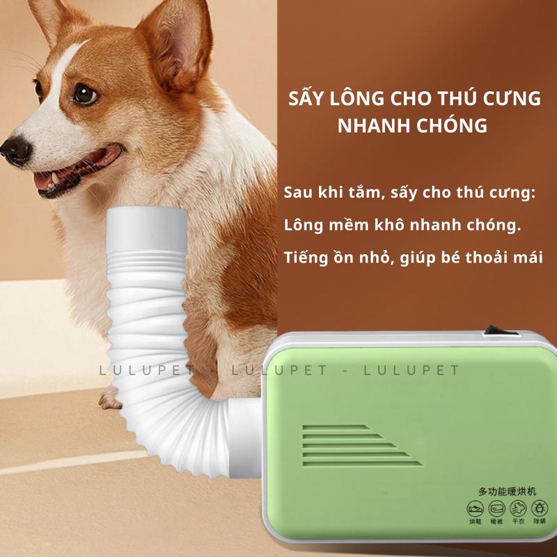Product Introduction of [TẶNG BÀN CHẢI + KHĂN TẮM] Combo Hộp Máy sấy lông chó mèo đa năng tiết kiệm, lồng sấy lông mèo, công suất 600W, sấy khô lông thú cưng nhanh chóng, sấy quần áo, sấy giày khi ẩm. TiCipet 13