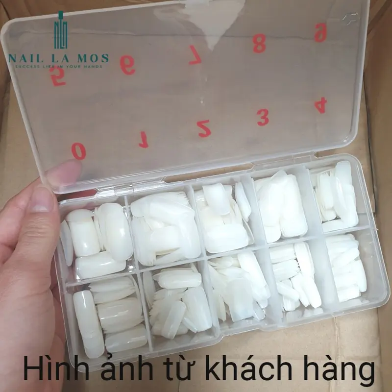 Móng úp chân phom vuông dài - Móng úp chân dài dùng được cho tay và chân (Hộp 500 móng đủ size) 8