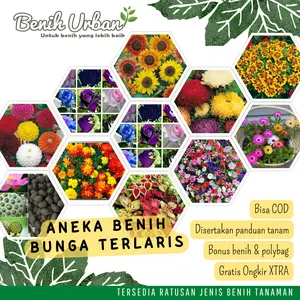Benih Bunga Hias Mawar Zinnia Aster Matahari Vinca Krisan Marigold Telang Krokot Lavender