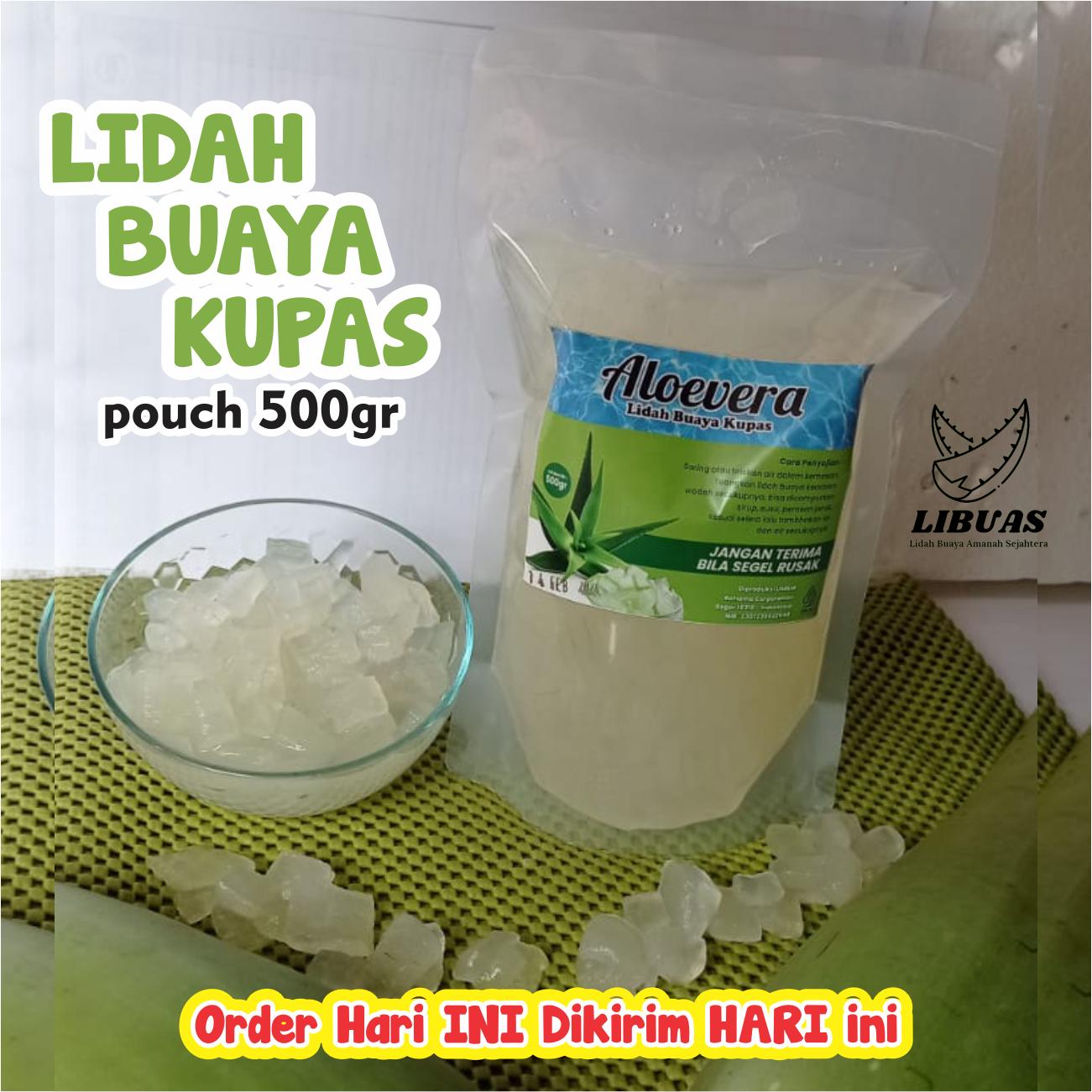 NATA DE ALOEVERA | LIDAH BUAYA KUPAS 500gr | Fresh dan siap untuk dikonsumsi