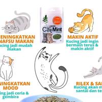 Gambar SUNNYPAWS Hahale Pure Cat Mint Powder Catmint Bubuk Catnip Sachet 5 GR Mainan Kucing Anti Hairball dari SunnyPaws Store Kota Tangerang 2 Tokopedia