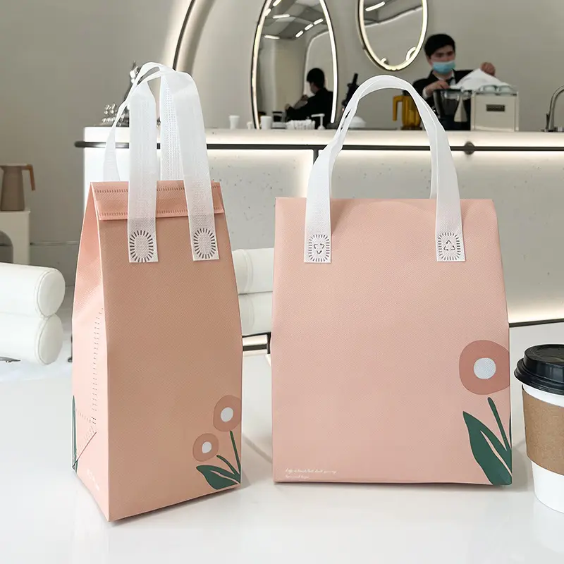Túi đựng hộp cơm túi đựng đồ vải không dệt cao cấp in hình dễ thương độc đáo TVAIDET065 Bag Nam 2