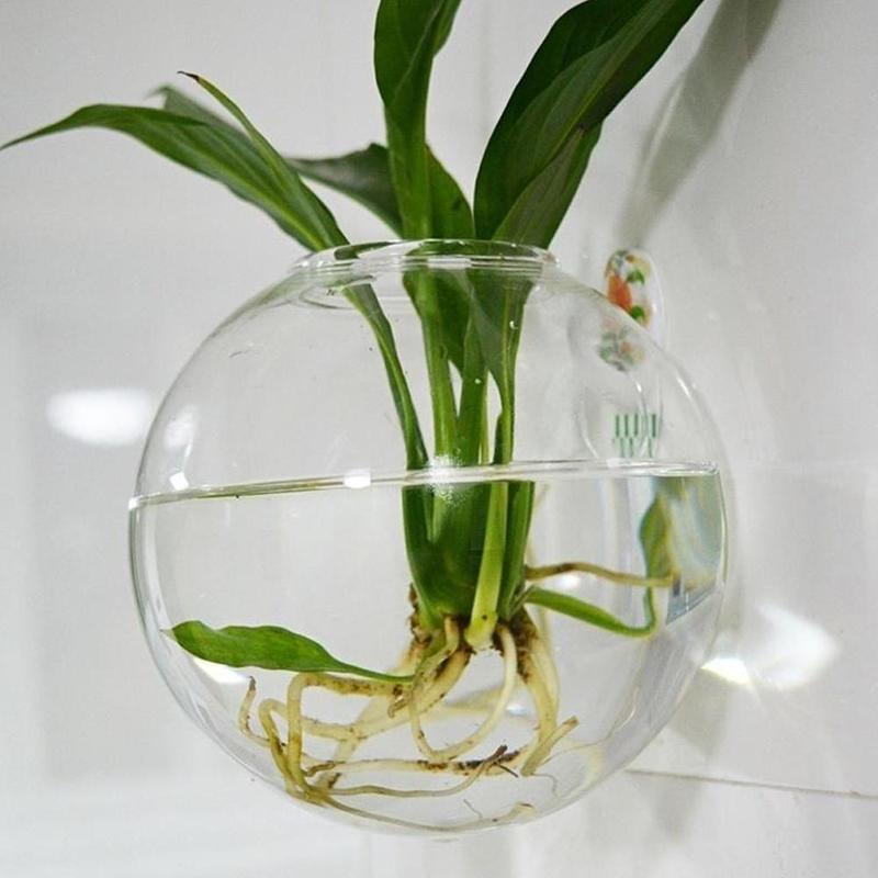 Bình Hoa Kính Treo Tường, Phong Cách Terrarium, Lò Xo Treo Tường, Chậu Cá, Thích Hợp Cho Bể Cá, Đồ Trang Trí Hoa, Trang Trí Nhà Cửa 0