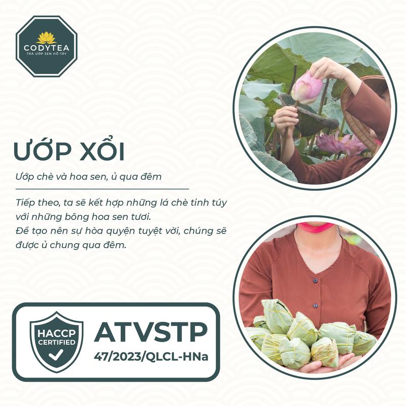 Trà ướp sen Hồ Tây - Đại Thọ (Bông) Cody Tea traxanh 8