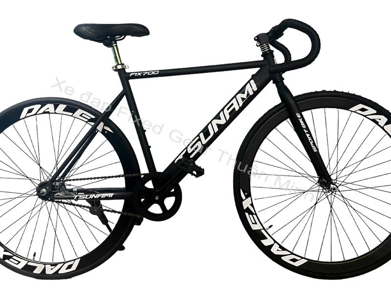 XE ĐẠP SINGLE SPEED FULL ĐEN NEW 100%.