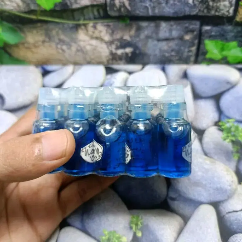 Minyak Baroka wangi isi 20 pcs 3