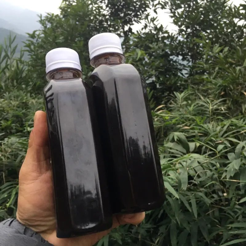 Cao lỏng thải độc gan từ cây dược liệu quý hiếm 3