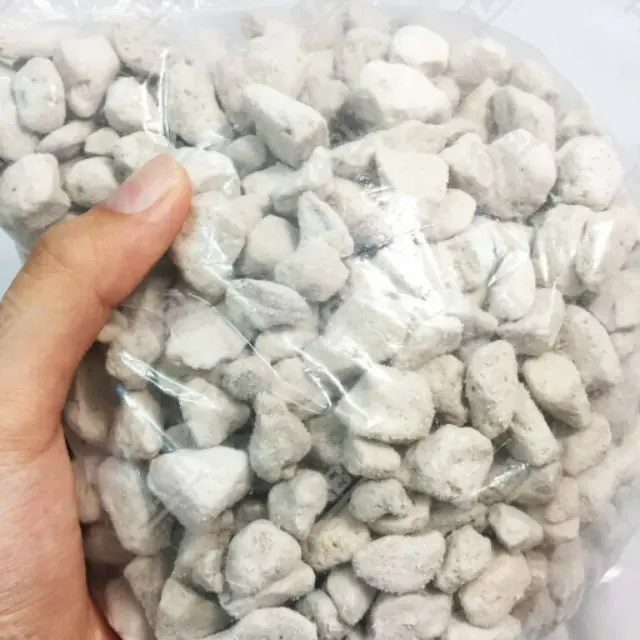 [Vật Liệu Lọc] 500g Đá Lông Vũ Lọc Hồ Cá - Nham Thạch Trắng Dùng Để Trang Trí Bể Cá 1