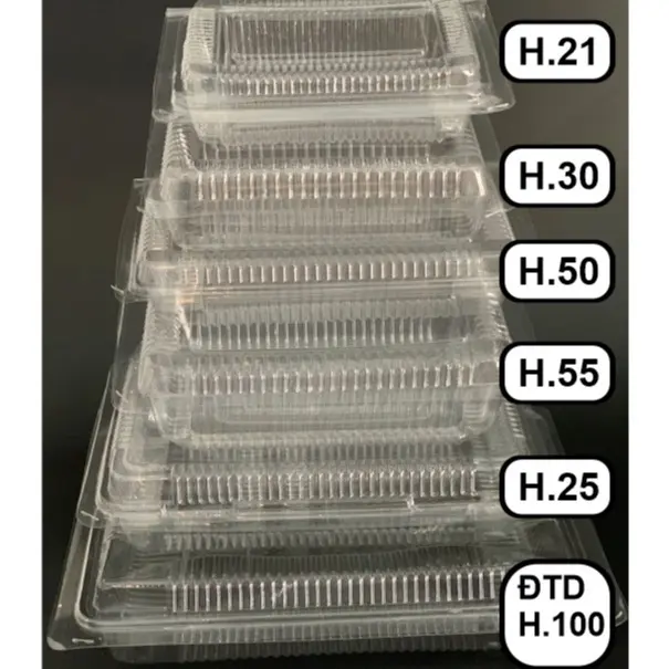 Set 100 hộp nhựa trong H21 - H30-H50-H55-H25-H100