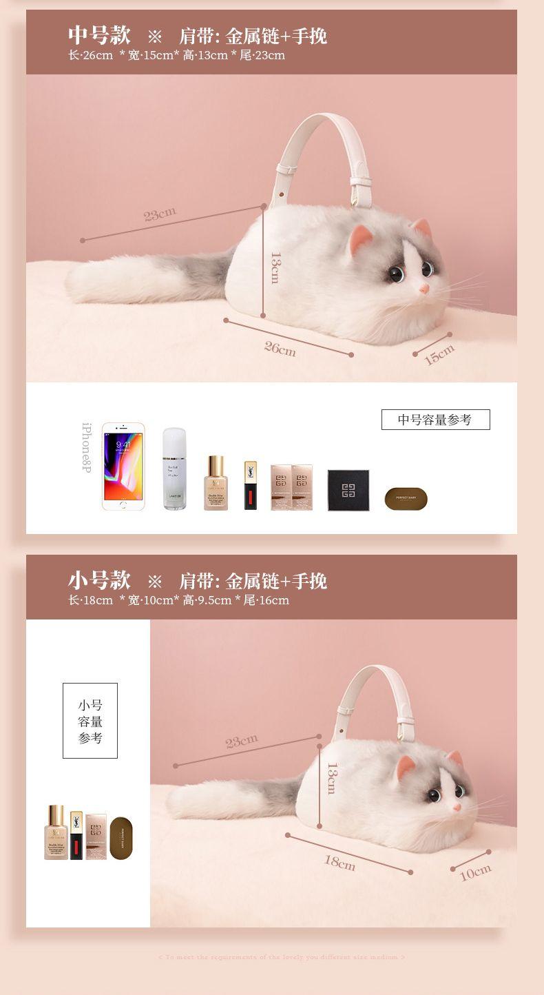 Product Introduction of This Year's Popular Bag Small Bag Niche 2022 Super Hot All-Match Western Style Mobile Phone Bag New Internet Celebrity Chain Messenger Bag 4
