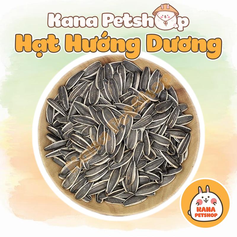 Hạt Hướng Dương FREESHIP 100G Hạt Hướng Dương Lớn - Nhỏ Cho Hamster Sóc Chim Vẹt .....