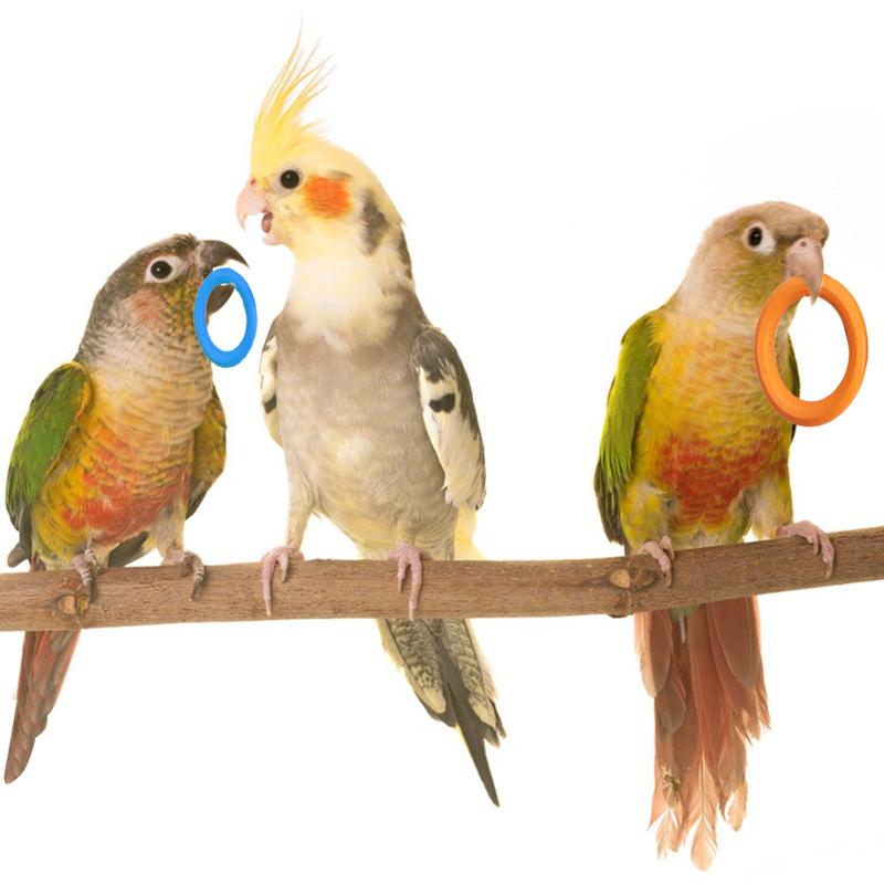 10Pcs Pet Bird Parrot Intelligence Toys Natural Wooden Ring Parrot Training Toy Chew Bite Toys For Budgies Parakeet Growth Toy Bird Supplies DIY Accessories Home Decoration #436669 4