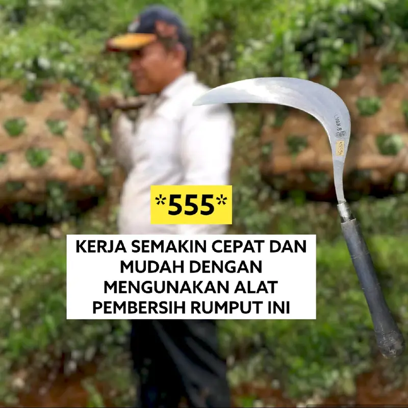 (COD)  ARIT POTONG RUMPUT *555* 2