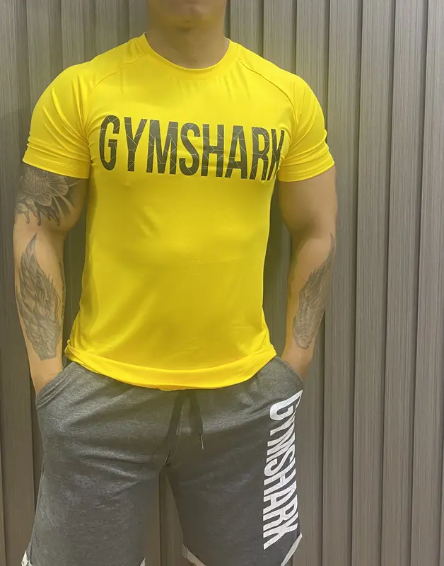Áo thun nam gym vải mè lổ kim Top Sport 3