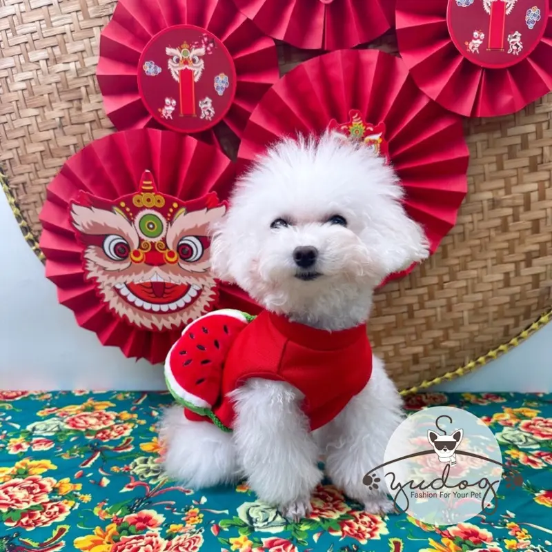 Áo bánh chưng tết cho chó mèo yudog 6