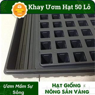 Khay Ươm Hạt Giống 50 Lỗ Kích Thước 55*30*5.5 cm , Vỉ Ươm Giúp Cho Hạt Nảy Mầm Tốt - Nông Sản Vàng 0