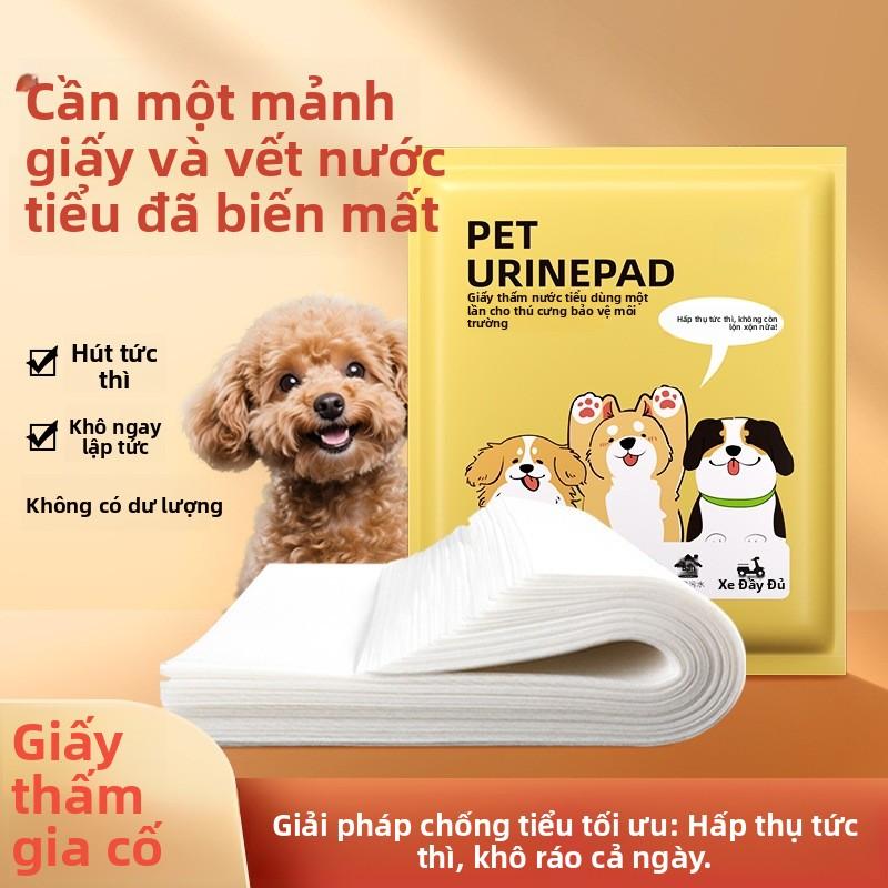 Giấy thấm nước tiểu chó, miếng thấm nước tiểu thú cưng, miếng lót thấm nước…