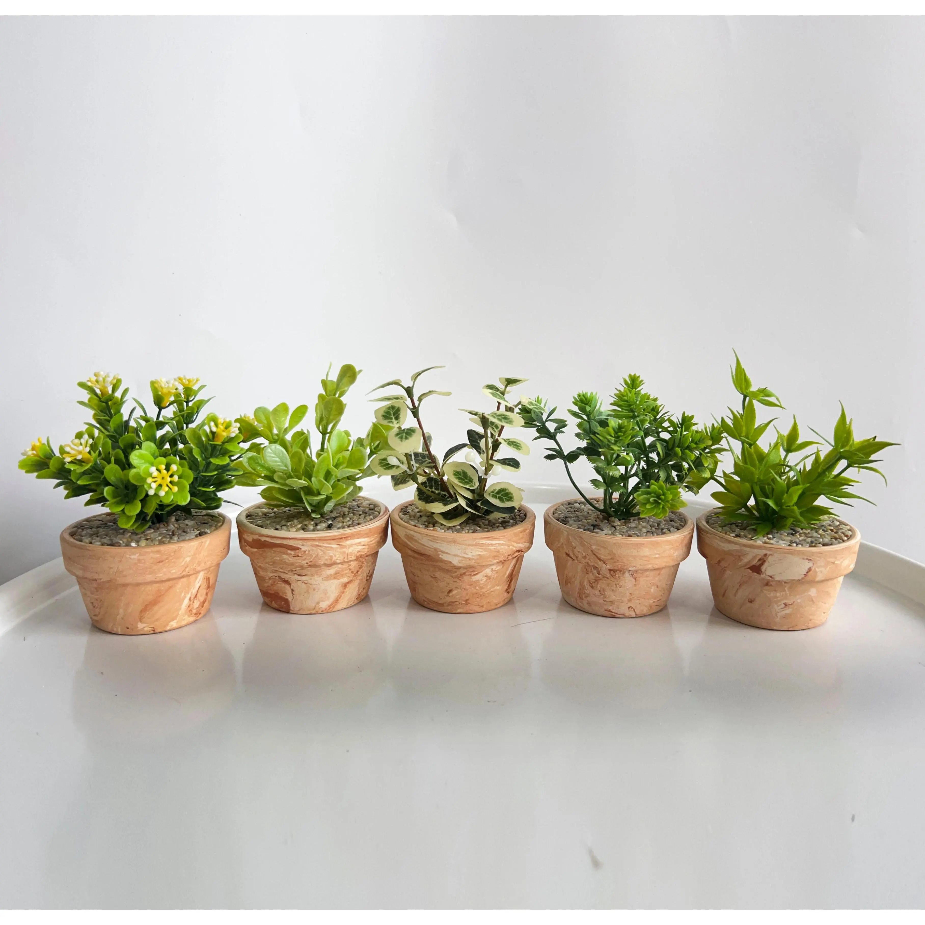 Cây nhân tạo, Chậu cây mini trang trí Decor Phòng, để bàn làm việc. sen  đá