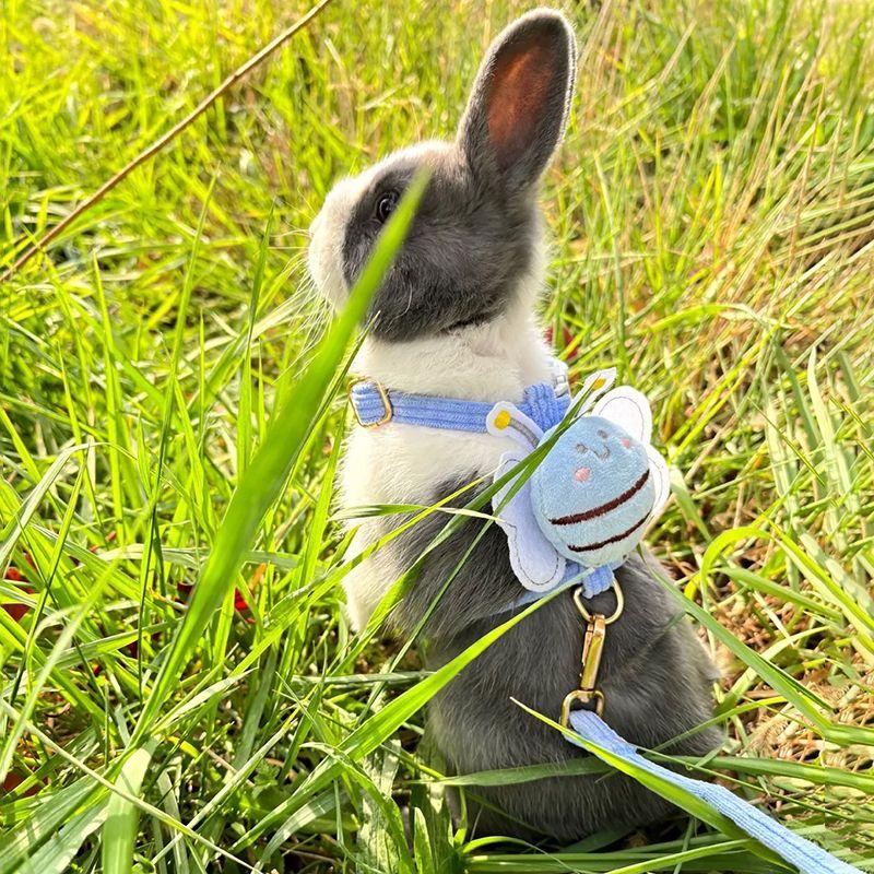 Walking Rabbit Hand Holding Rope Pet Dog Cat Pulling Rope Hand - TikTok ...