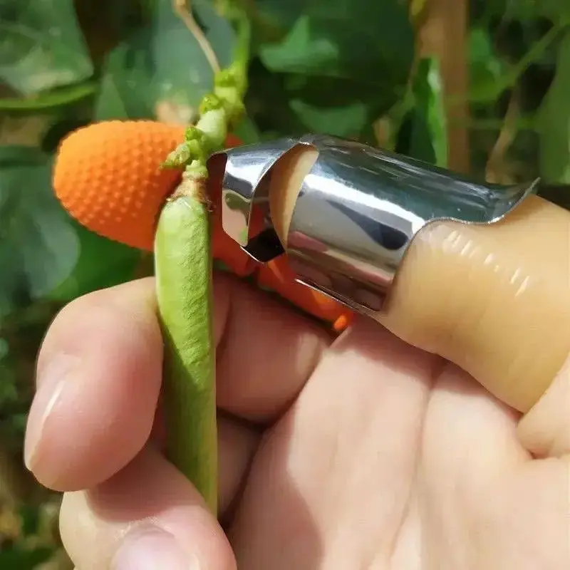 Thumb Knife Set for Fruit & Vegetable Picking, 4 Counts Portable Garden Tool for BBQs & Outdoor Cooking, Kitchen Utensils & Gadgets 4