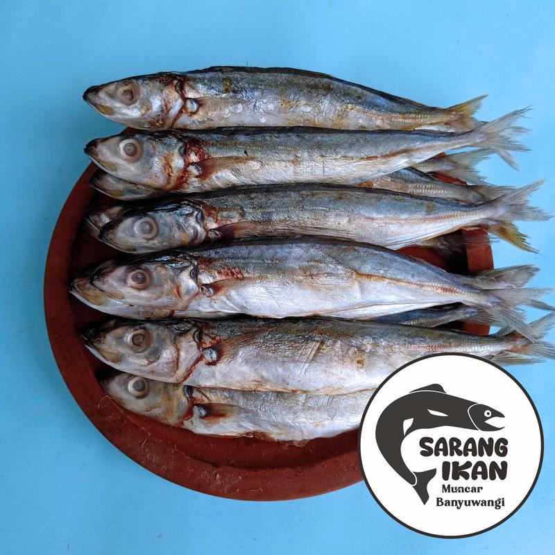 Product Introduction of IKAN LAYANG / KLOTOK / BENGGOL BESAR ASIN 100/250/500 gr Laut 1