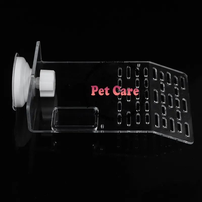[hot sale]Bệ phơi nắng cho rùa trong suốt 5