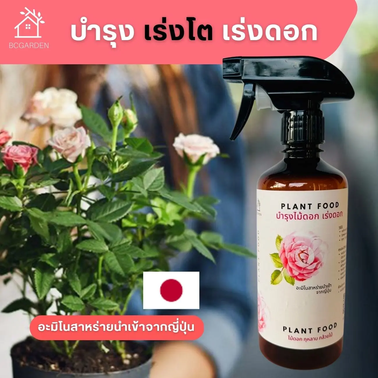 ปุ๋ยกุหลาบ บำรุงกุหลาบ nourishing roses  BCGarden
