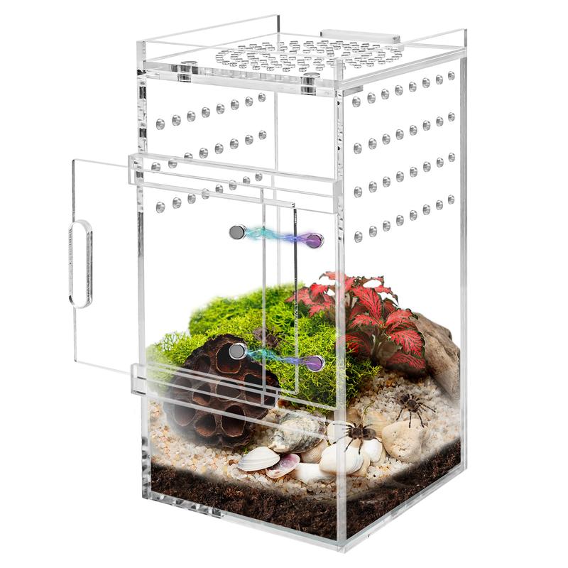 Jumping Enclosure Tarantula Full Transparency Terrarium Habitat Insect ...