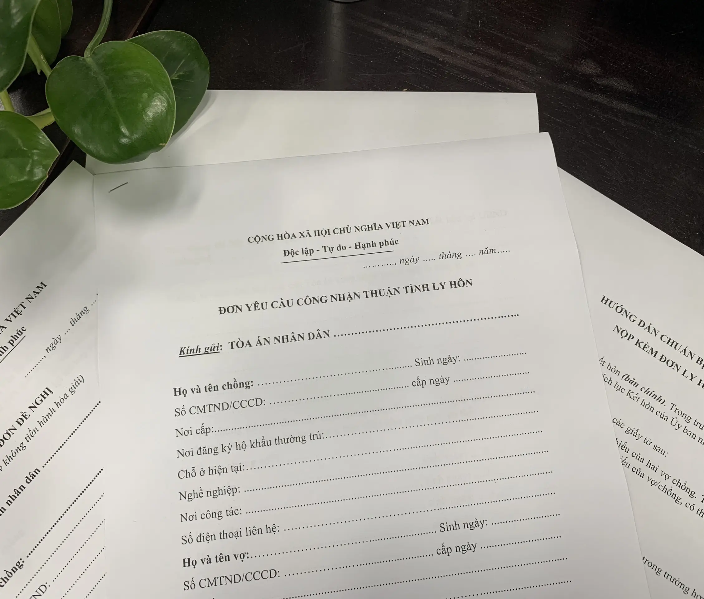 Bộ hồ sơ ly hôn thuận tình mới nhất 2024