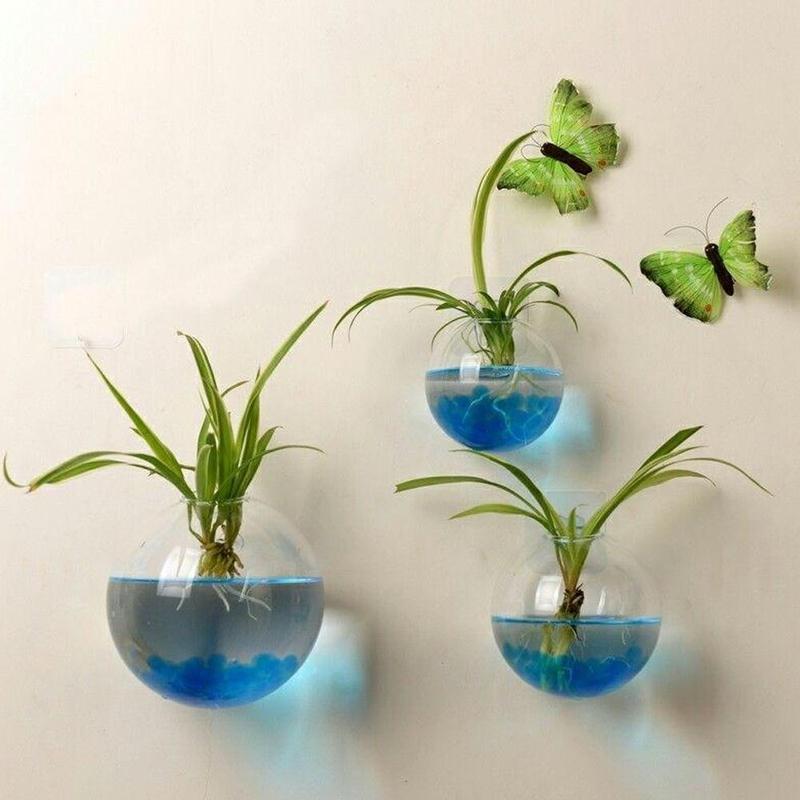 Bình Hoa Kính Treo Tường, Phong Cách Terrarium, Lò Xo Treo Tường, Chậu Cá, Thích Hợp Cho Bể Cá, Đồ Trang Trí Hoa, Trang Trí Nhà Cửa 5