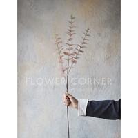 Gambar Daun Artificial Eucalyptus Silver Dollar Thin Spray (D22128) dari FlowerCornerID Kota Administrasi Jakarta Utara 2 Tokopedia
