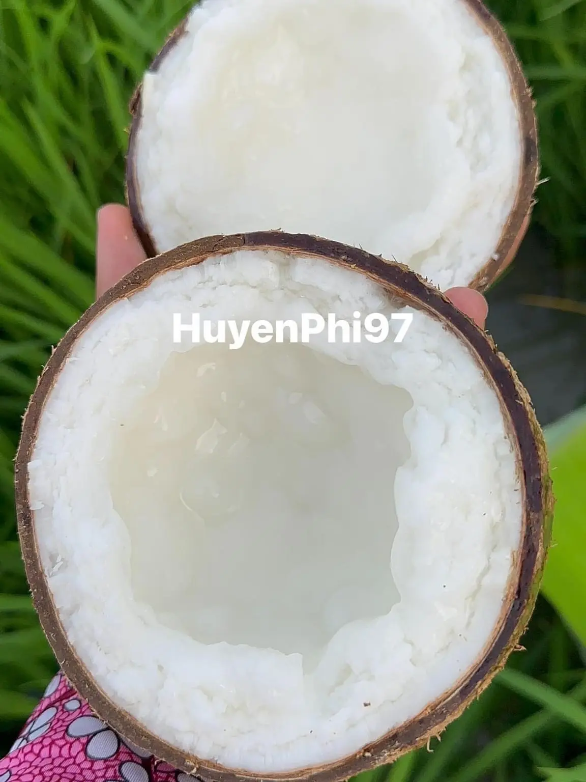 [ DỪA SÁP ĐẶC LOẠI 1] - [ TRÁI LỚN TỪ 1KG - 1kg4 ] ( kèm 1 hủ tầm duộc 250g )
