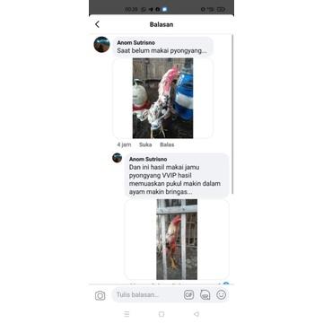 JAMU PYONGYANG VVIP PAKET 2 BOTOL 6