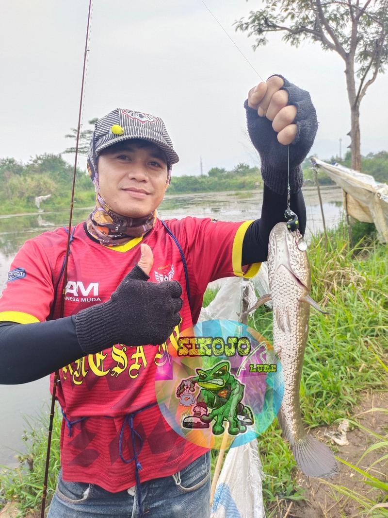 Product Introduction of Lure Soft Frog Mini umpan pancing Ukuran 3cm Berat 5grm Untuk Mancing Casting Ikan Gabus 5