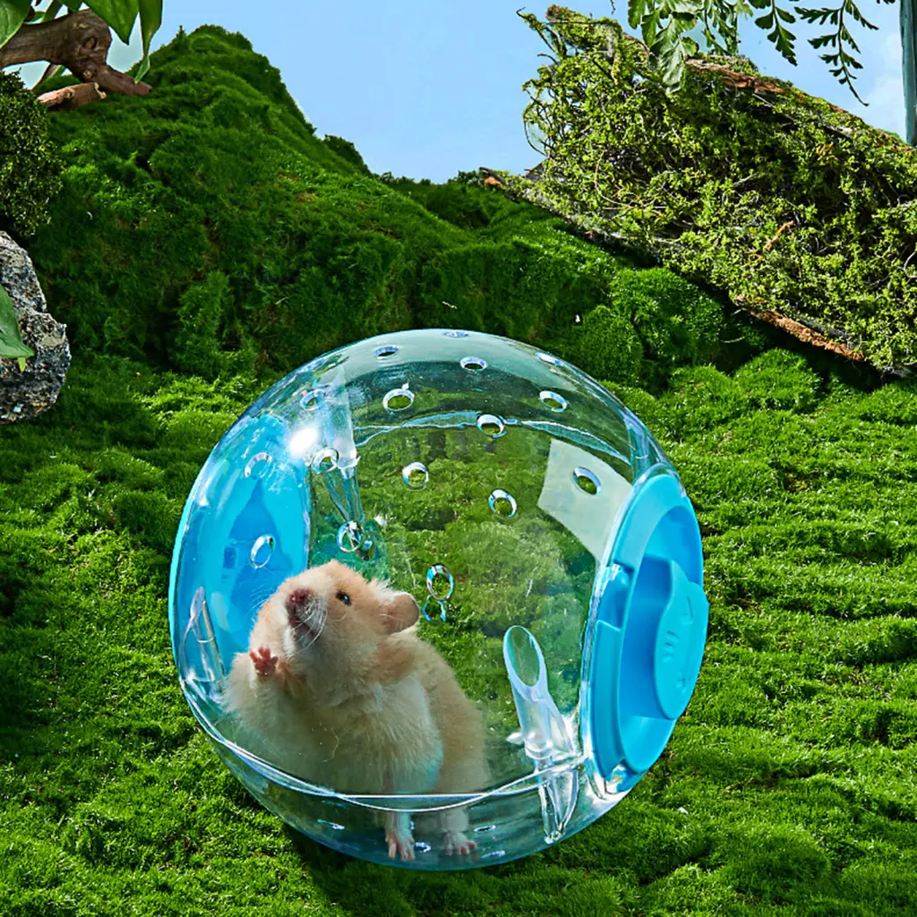 kitesiy Fashionable Hamster Exercise Ball Transparent Hamster Ball Transparent Hamster Running Ball with Buckle Closure Multi-hole Design for Breathability and Boredom for Active
