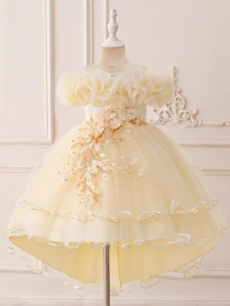 Product Introduction of Flower Girl Embroidery Sequin Decor Tulle Formal Dress, Elegant A-Line Dress for Party Wedding Guest, Kids Clothes for All Seasons 6