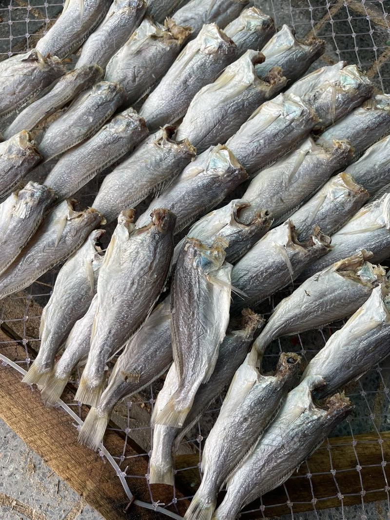 Product Introduction of 500.gram khô cá đù lớn vị mặn ăn cơm size 14-18 con Food (quý khách ăn lạc nên ngâm nước 30-40 phút trước khi chiên. 4