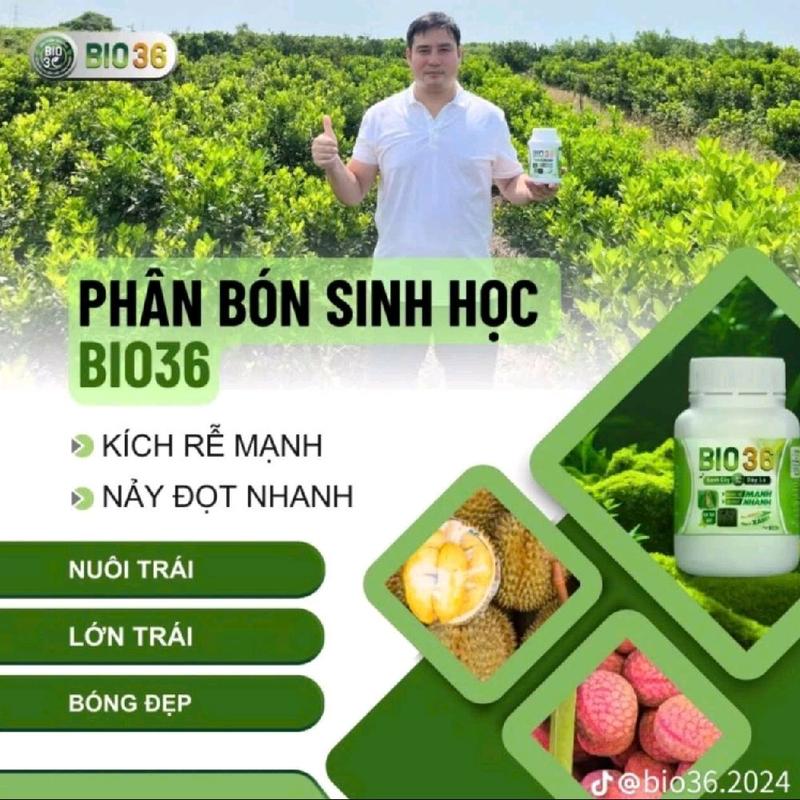Mua 3 tặng 1 Bio 36 500g siêu kích rễ đi đọt nhanh, tăng năng suất, Bio36 khỏe cây dày lá, phục hồi cây sau thu hoạch 4