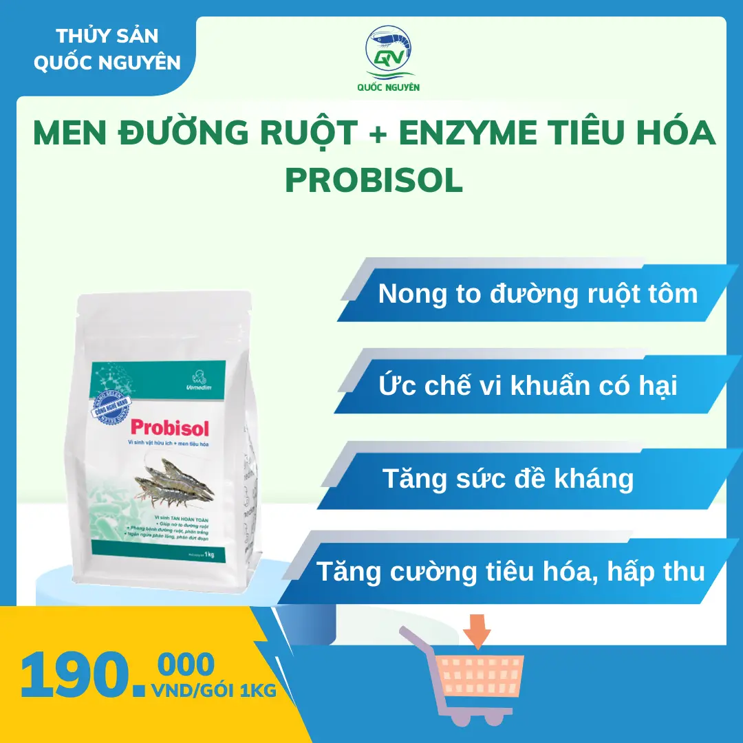 PROBISOL - Vi sinh vật hữu ích và enzyme tiêu hóa, nong to đường ruột, bổ sung thức ăn cho tô