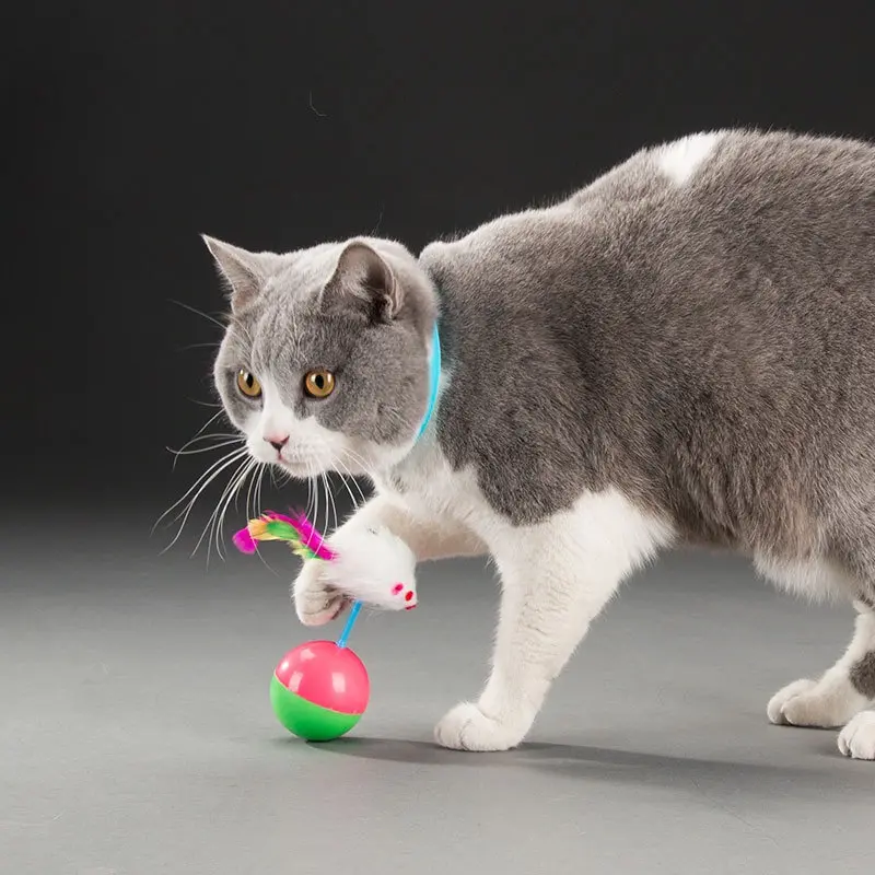 TSA (COD) Mainan Kucing Bola plastik Tikus Goyang Mainan Hewan Peliharaan Kucing Anjing Rattle Pet Toys Dog Cat 1