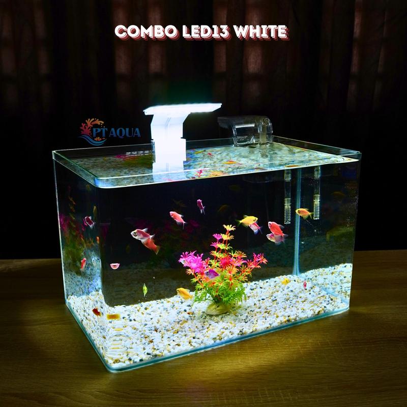 Bể cá mini Đúc uốn cong 35x21x23cm để bàn Với nhiều mẫu lựa chọn có kèm phụ kiện sỏi nền và cây nhựa