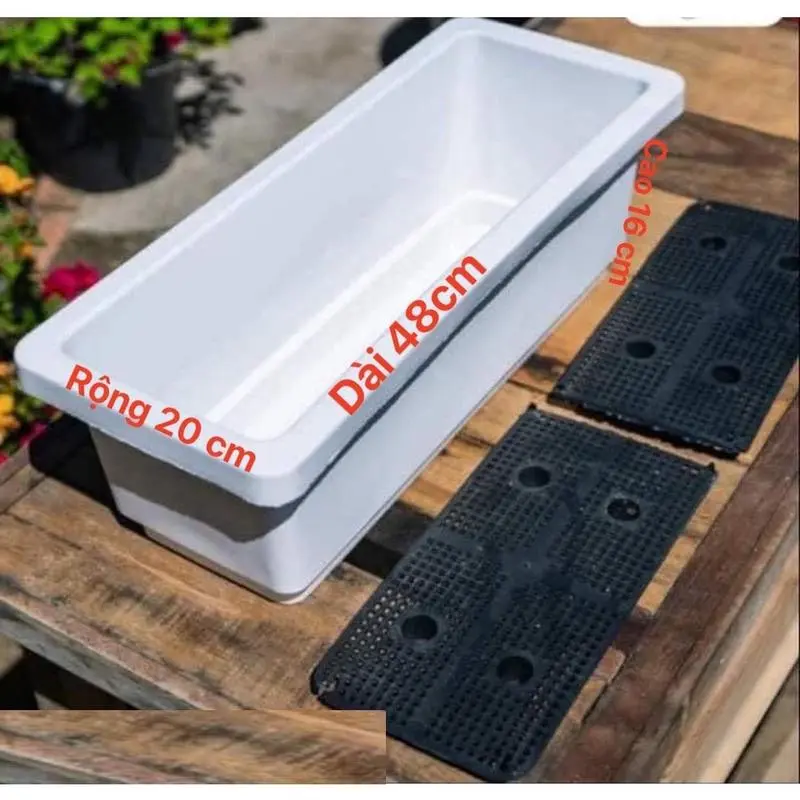 [Mua 5 tặng 1] CHẬU NHỰA HCN TRỒNG CÂY KT 48X20X16cm chau trong cay chậu  nhựa 7