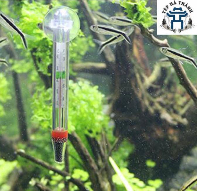 Nhiệt Kế Thủy Ngân Bể Cá 1