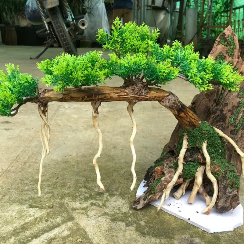 Lũa Bonsai ôm núi cho bể cá cảnh/ Decor trang trí 6